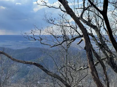 Fort Payne Vacant Land
