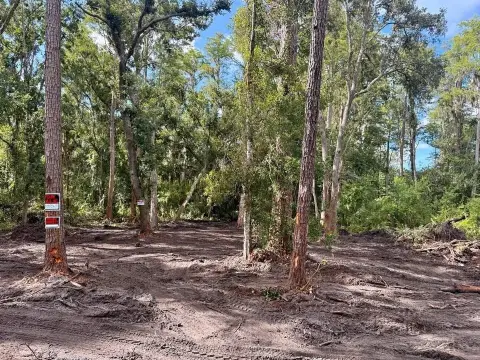 Residential Land in Citrus Park