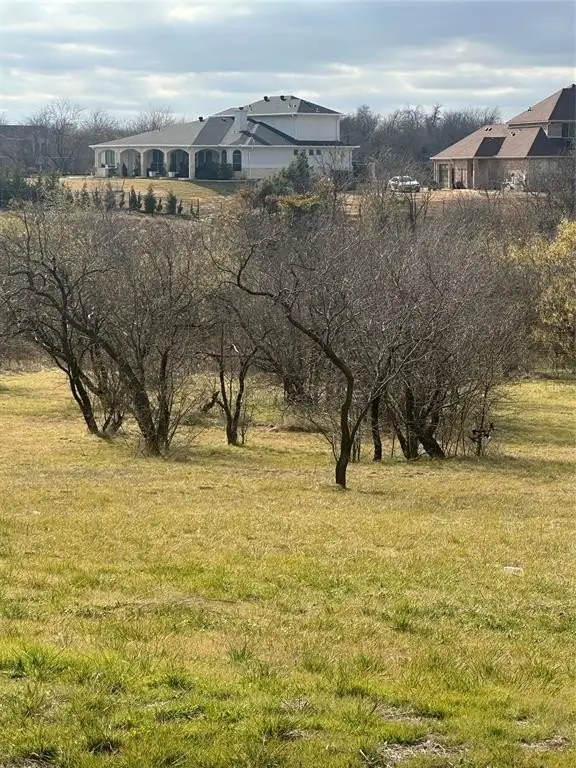 Picture 4
