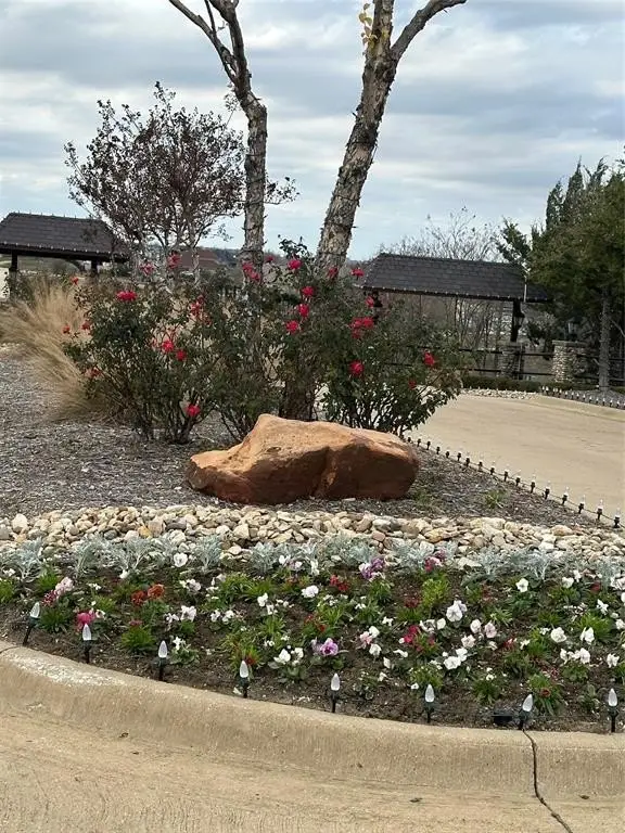 Picture 17