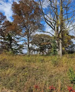 Buildable Lot in North Wilkesboro