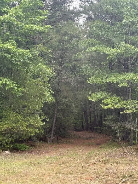 Picture 15