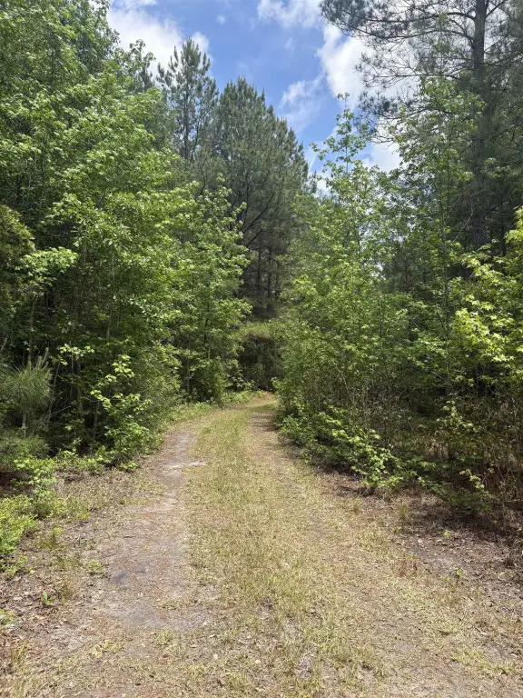 Picture 21