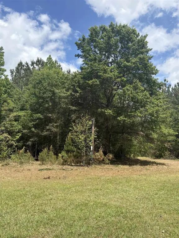 Picture 23