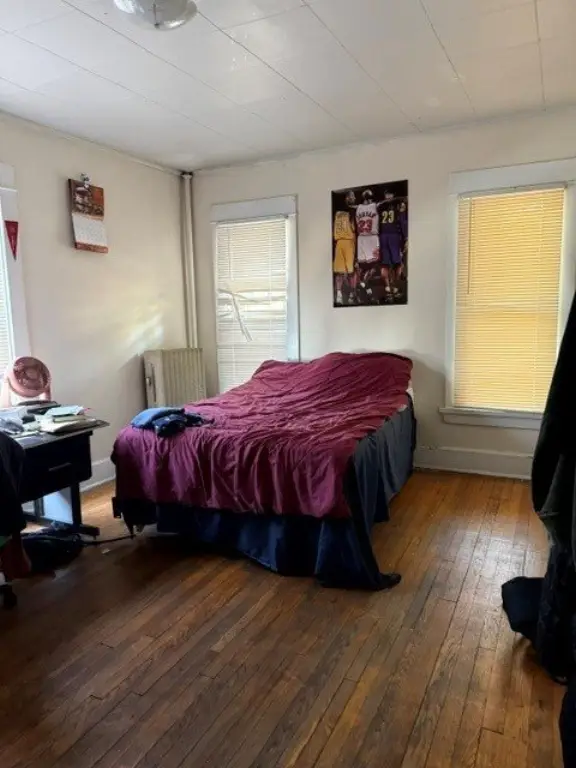 Picture 11