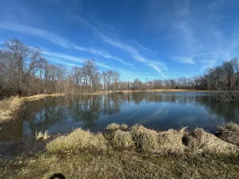 Rockfield Acreage with Hunting Potential