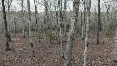 Mena, AR Wooded Residential Lot