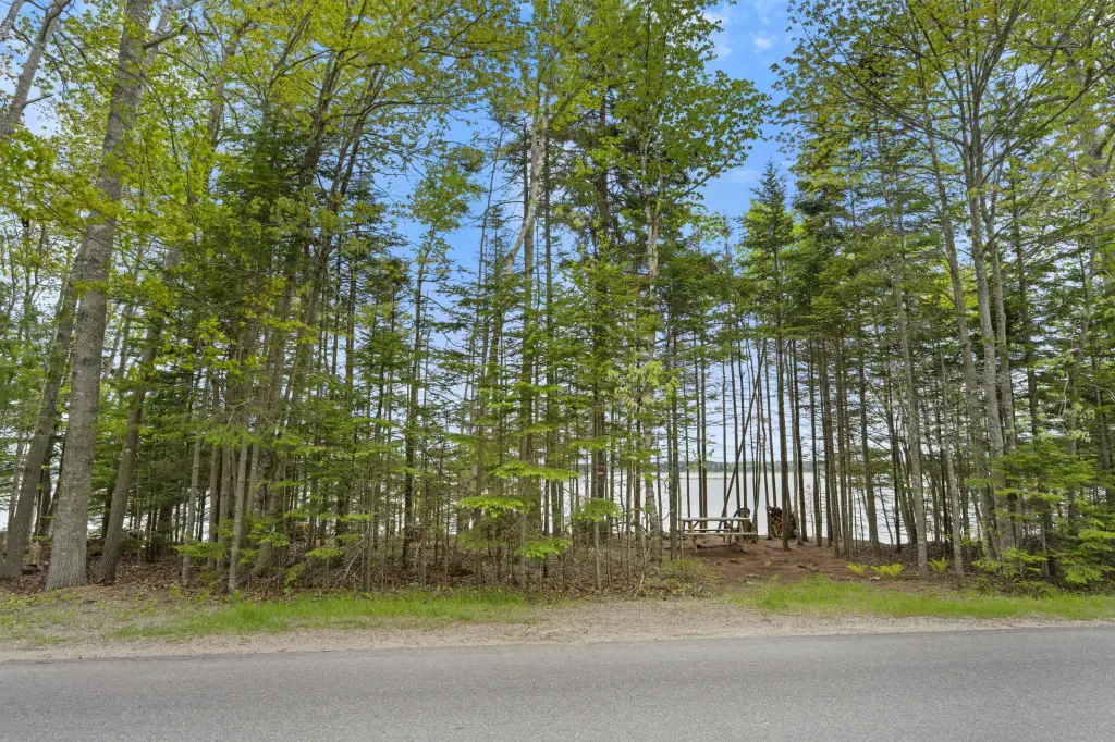Picture 30