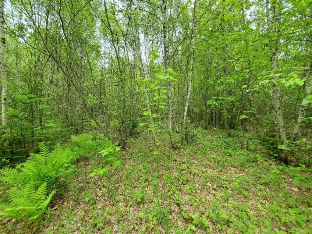 Picture 9