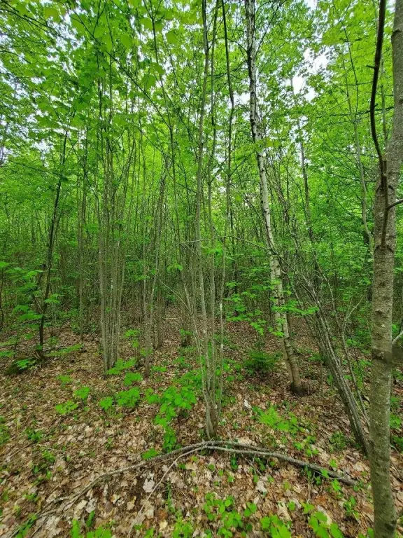 Picture 16