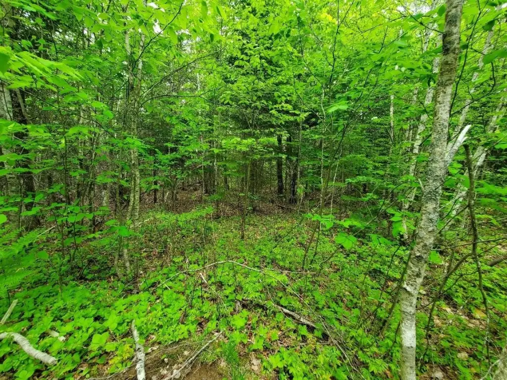 Picture 19