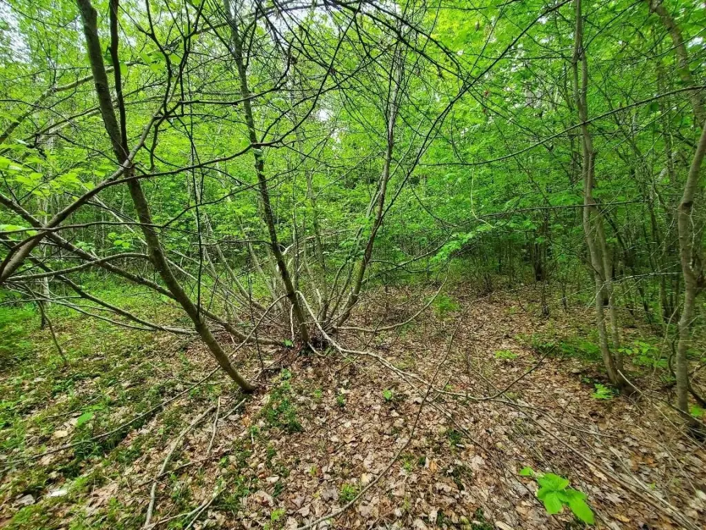 Picture 11