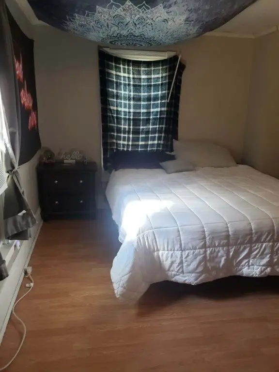Picture 10