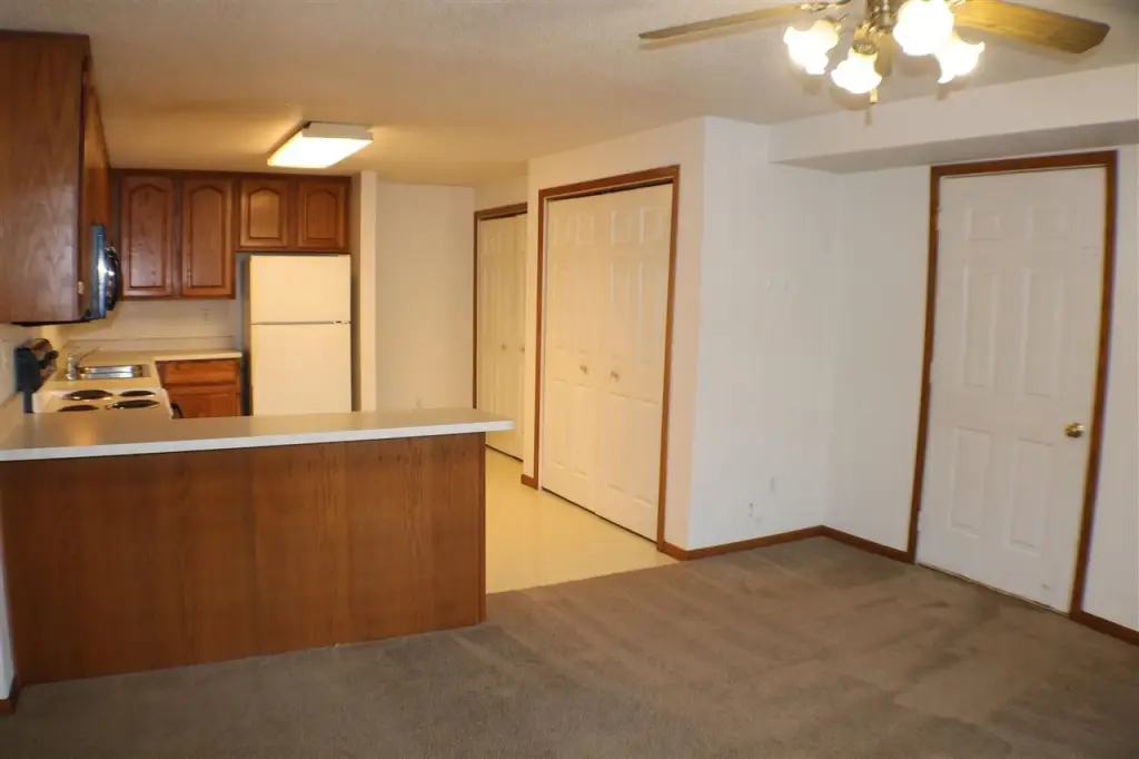 Picture 5