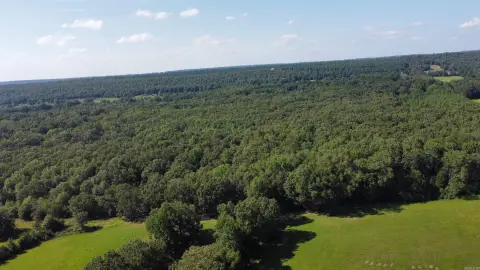 Unrestricted Wooded Land in Vilonia
