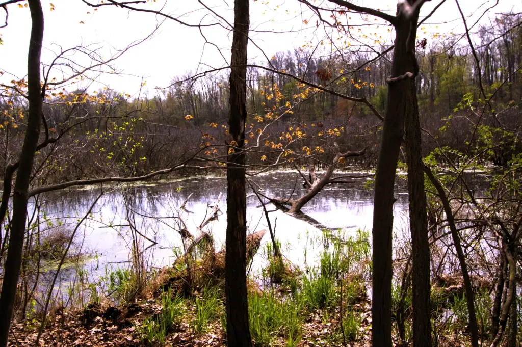 Picture 9