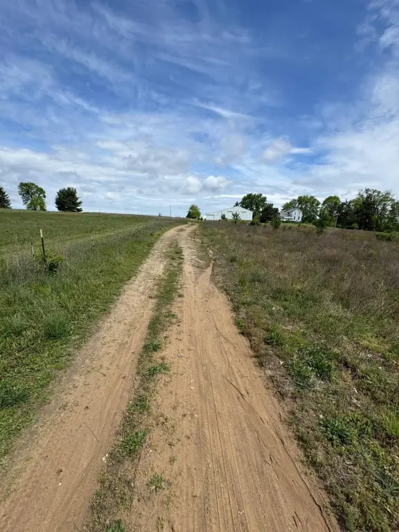 Picture 4