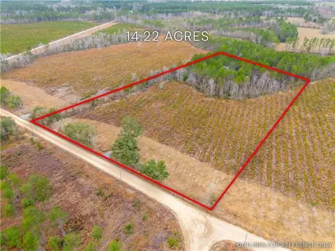 Brooklet, GA Farm/Timber Land