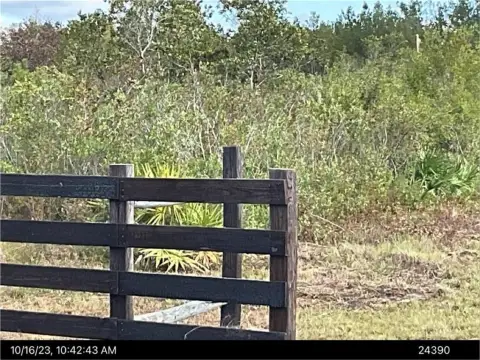 Millwood Plantation Raw Acreage