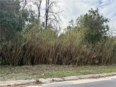 Residential Lot in Waycross, GA