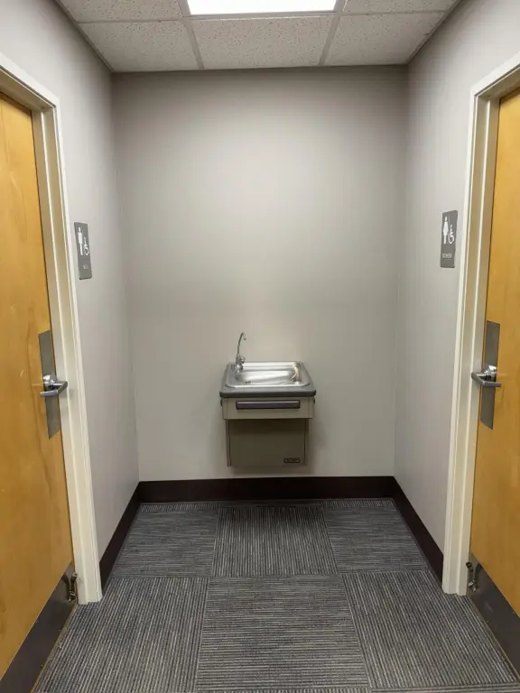 Picture 5