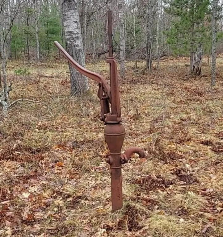 Picture 4