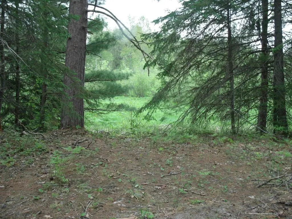 Picture 28