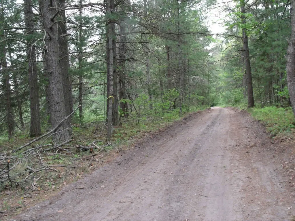 Picture 27