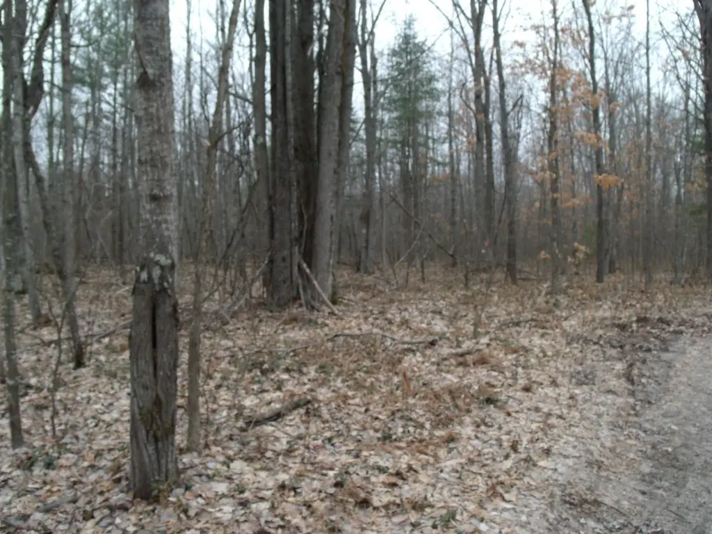 Picture 18