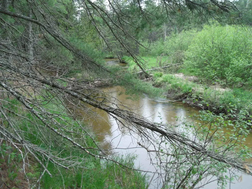 Picture 23