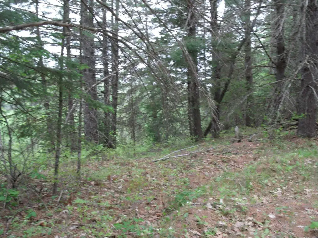 Picture 26