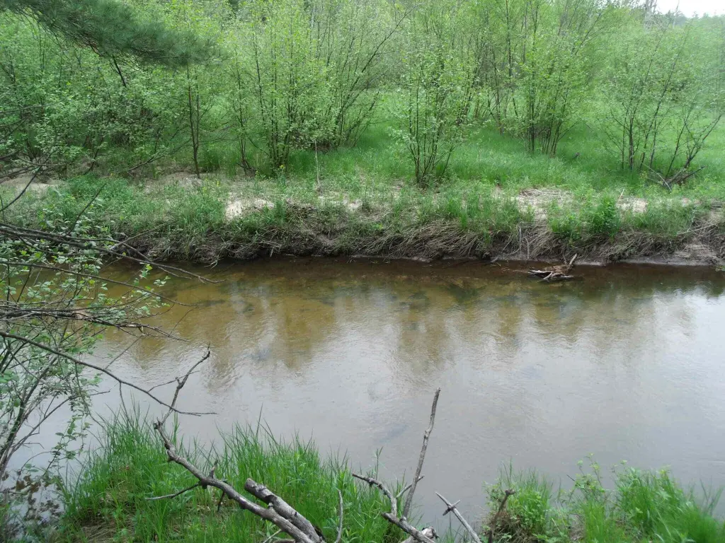 Picture 6