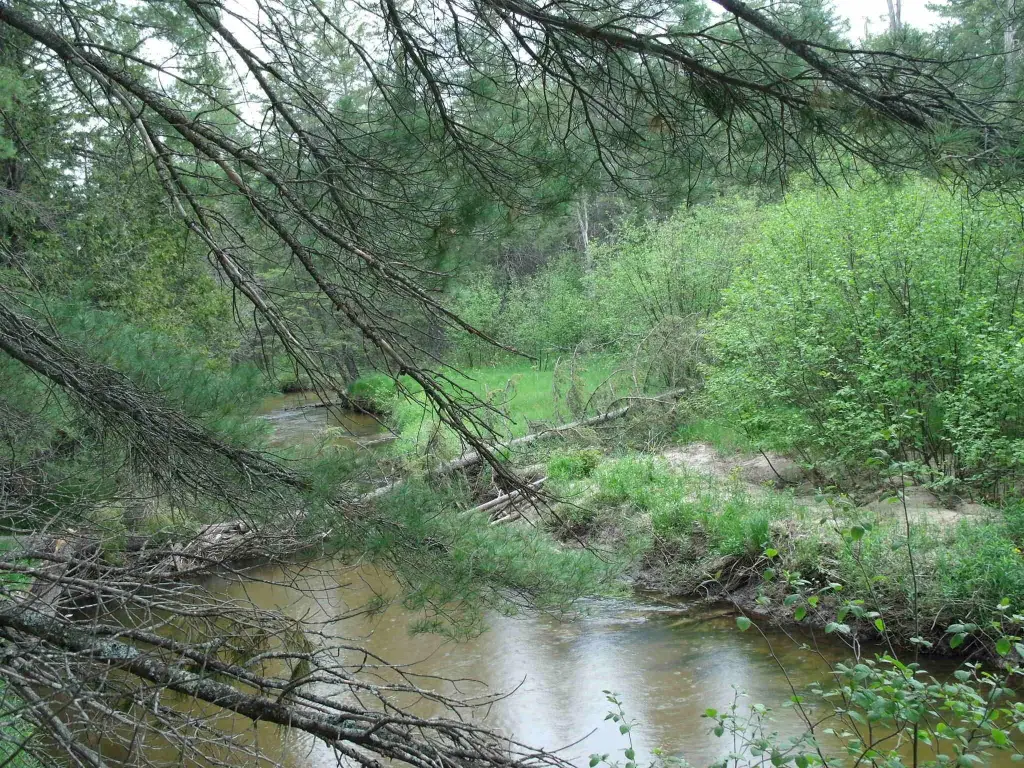 Picture 24