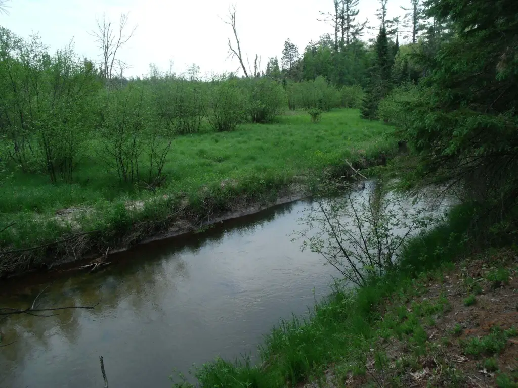 Picture 4