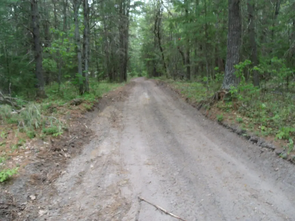 Picture 22