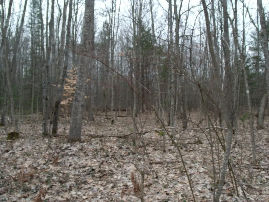 Picture 19