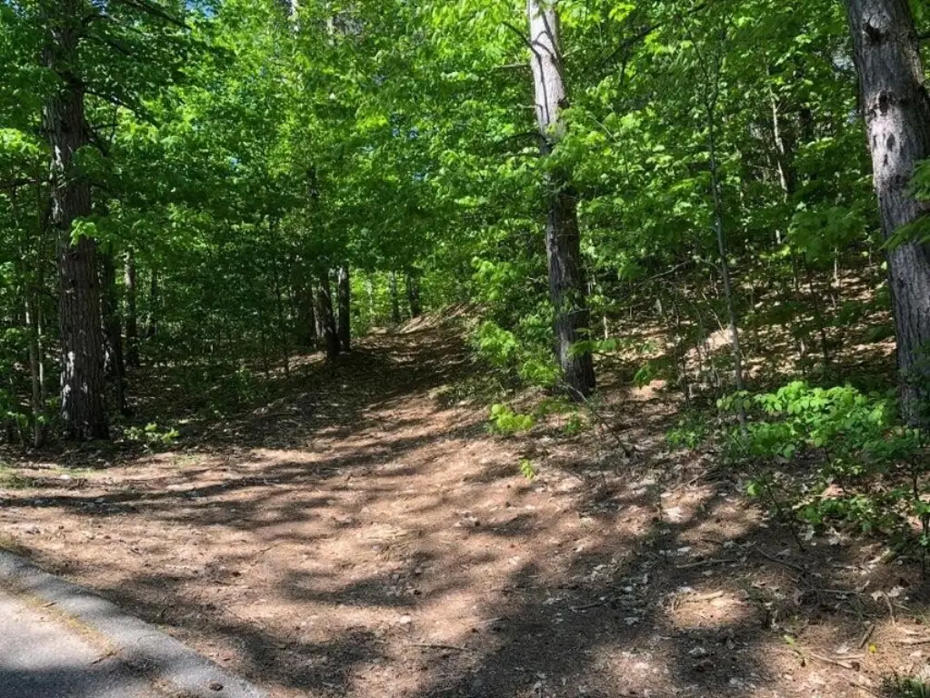 Picture 22