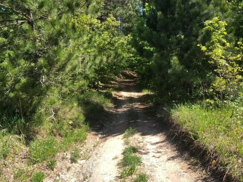 Picture 14