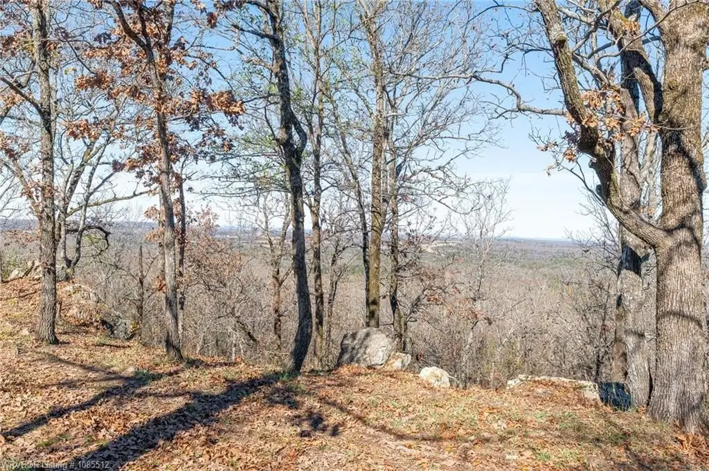 Picture 30