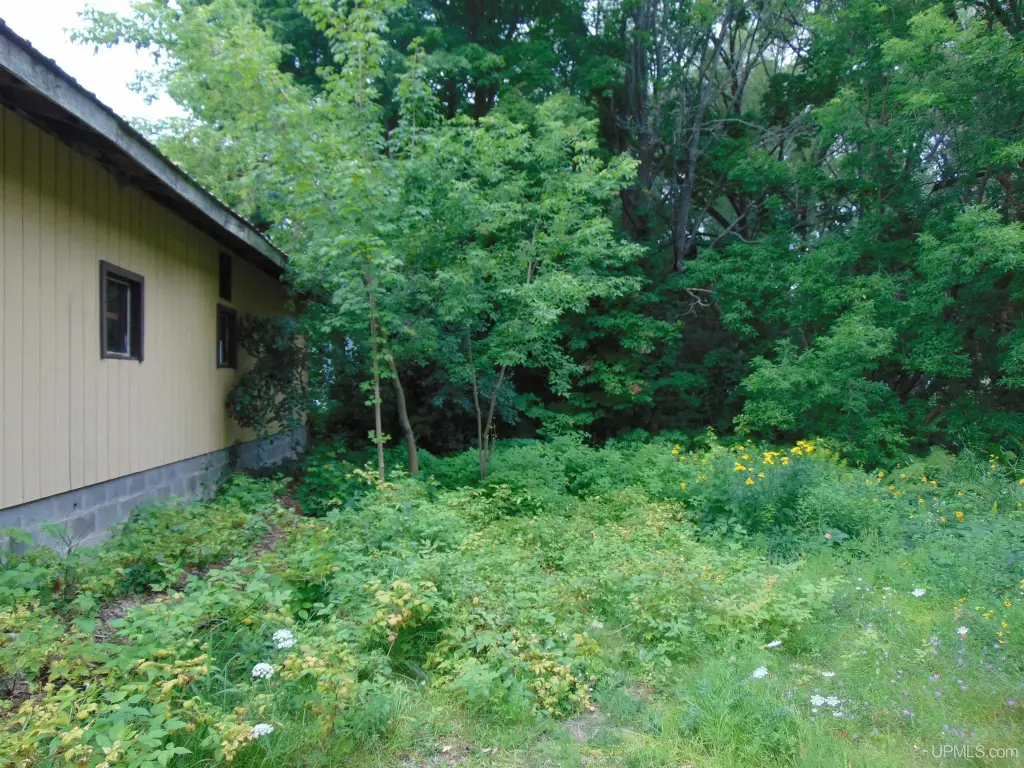 Picture 17