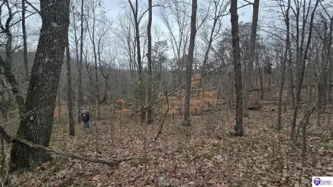 Wooded Lot in Mammoth Cave