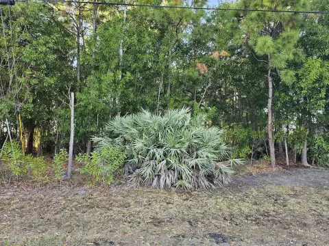 Residential Lot in Growing Area