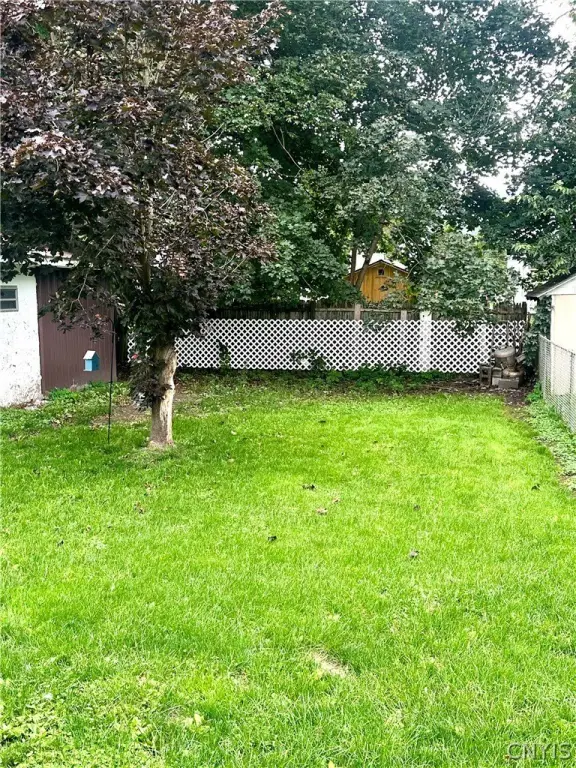 Picture 6