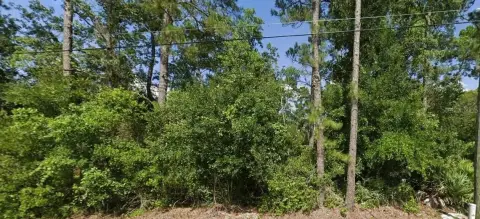 Land Available in Deland, FL