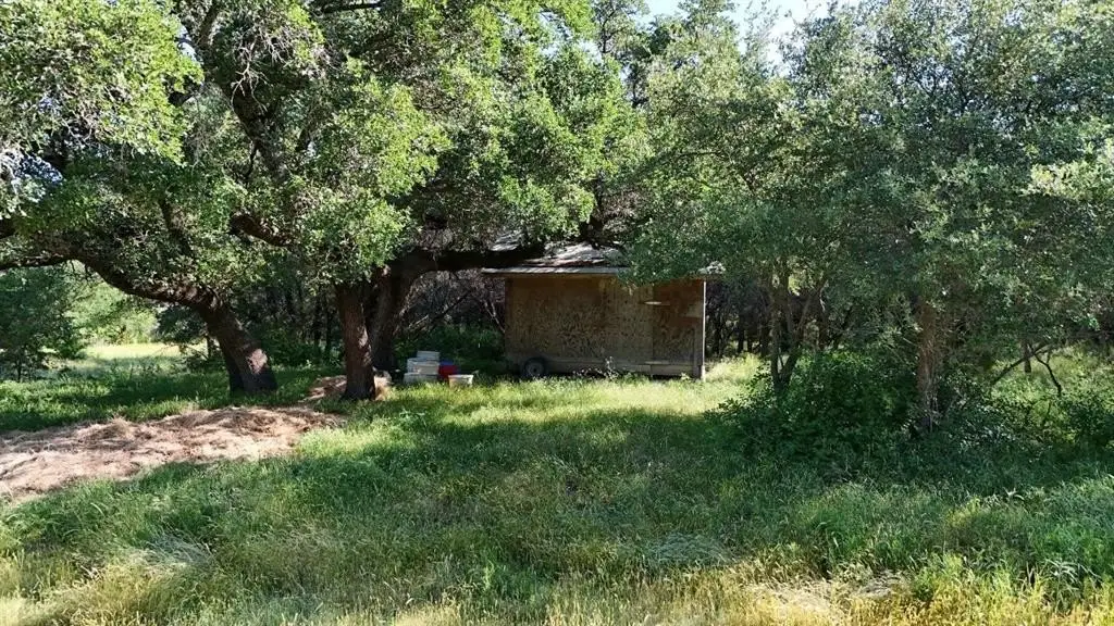 Picture 16