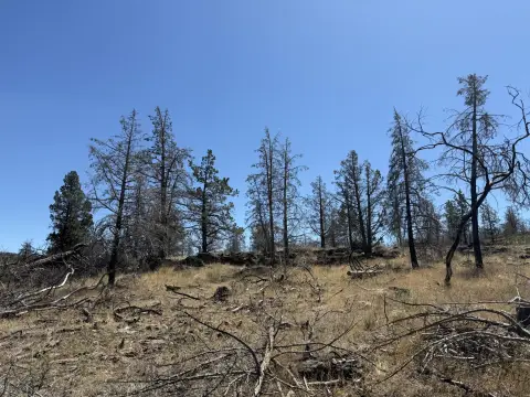 Bonanza, OR Residential Lots