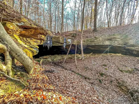 40 Acres of Serene Land