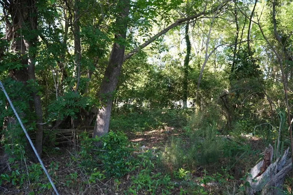 Picture 15