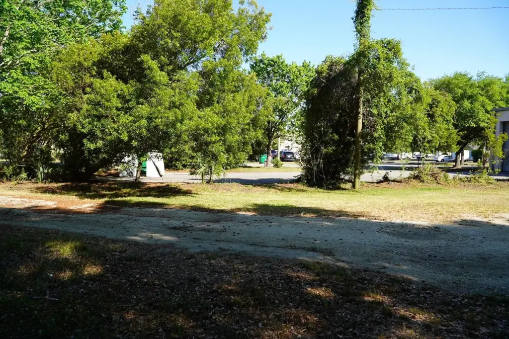 Picture 12