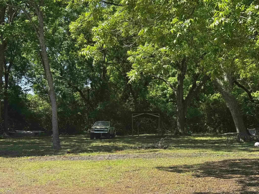 Picture 41